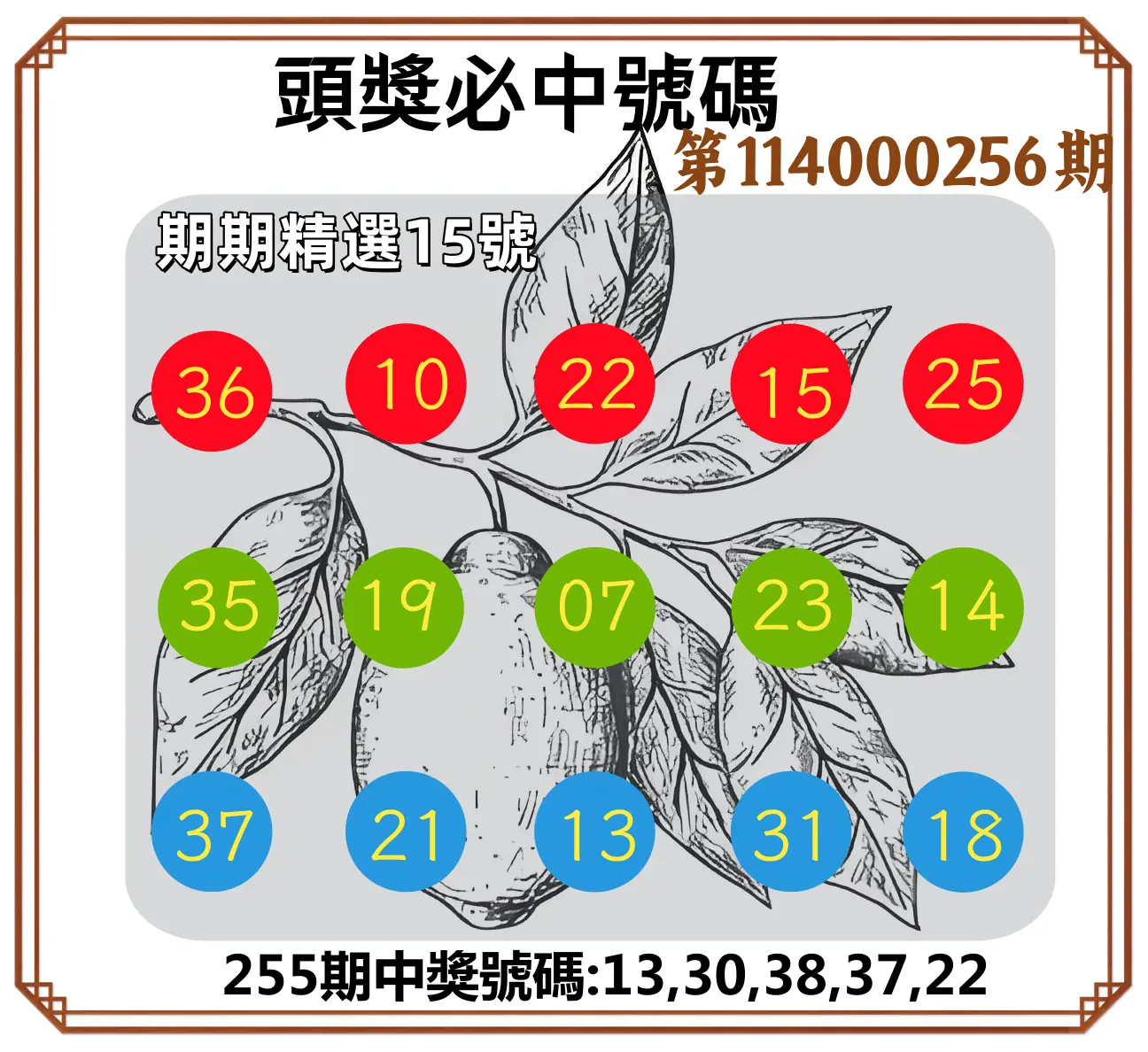 今彩539第114000256期(10/22)頭獎號碼