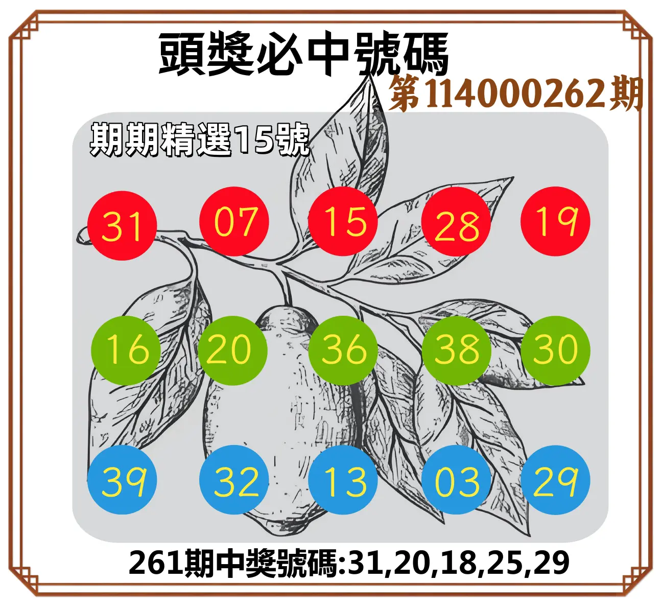 今彩539第114000262期(10/29)頭獎號碼