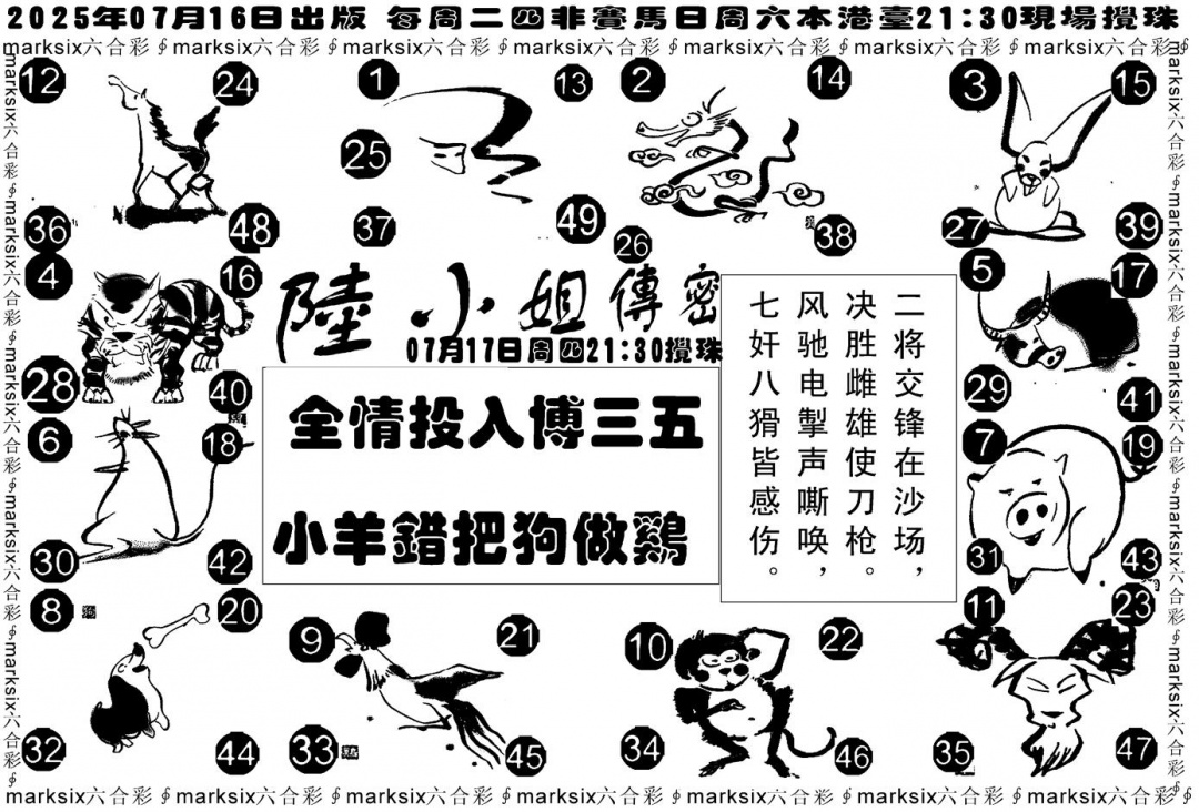 六合彩078期陆小姐传密B(黑白)