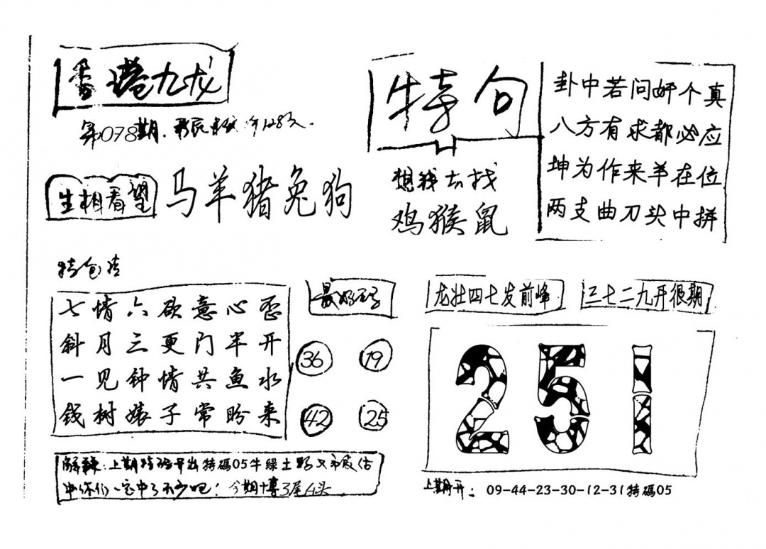 六合彩078期香港九龙(新图)手写(黑白)