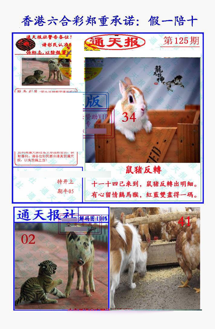 六合彩125期假一陪十通天报