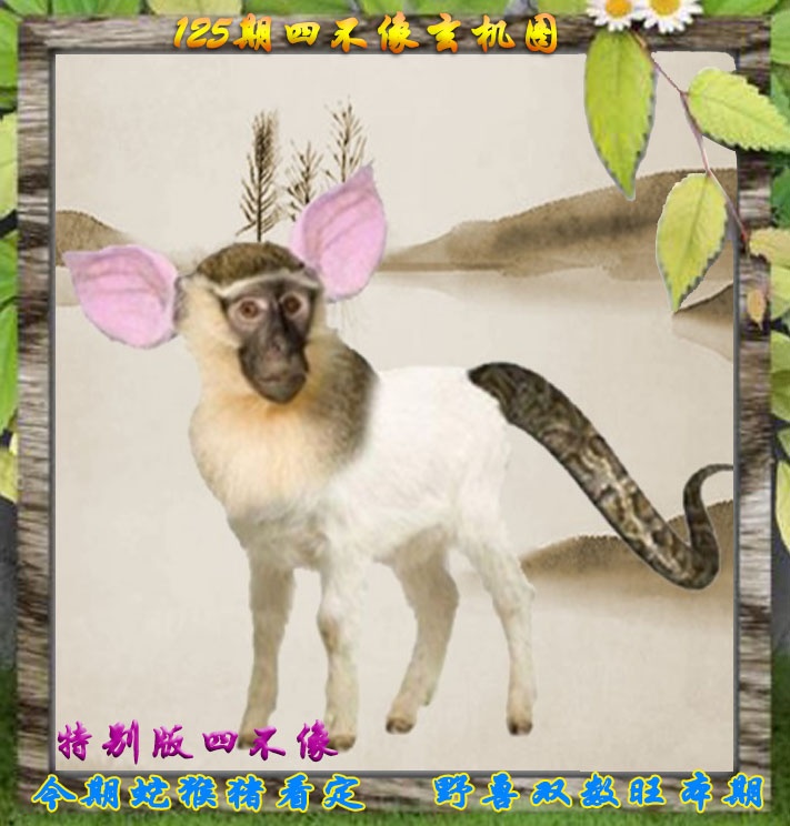 六合彩125期四不像特别版